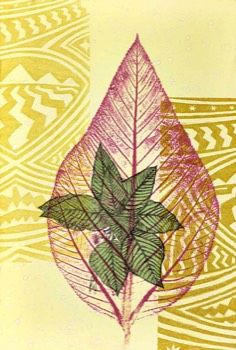 Hawaii Strength-Olona 